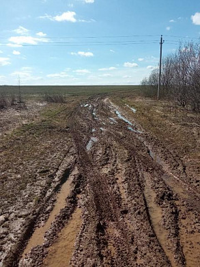 В деревне Гари нет дорог